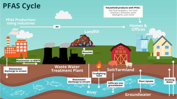 Pfas The Toxic Forever Chemical In Arizona Drinking Water