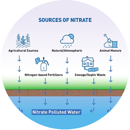 sources-of-nitrates-infographic