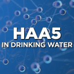 HAA5 Haloacetic Acids