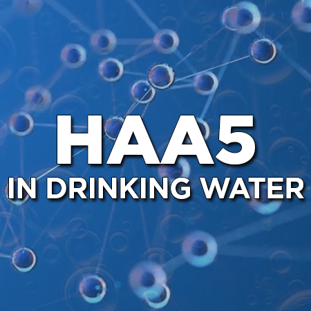 HAA5 Haloacetic Acids